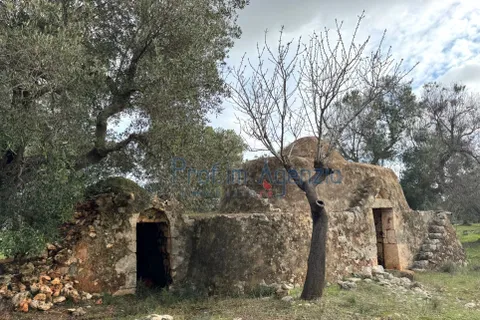 Landejendom i Carovigno, Brindisi, Carovigno - € 54.000 | Ref: 122834 - foto 10